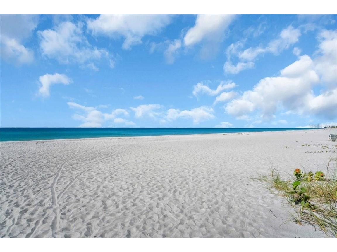5841 Gulf Of Mexico Drive #244 Longboat Key FL 34228 A4669761 image3