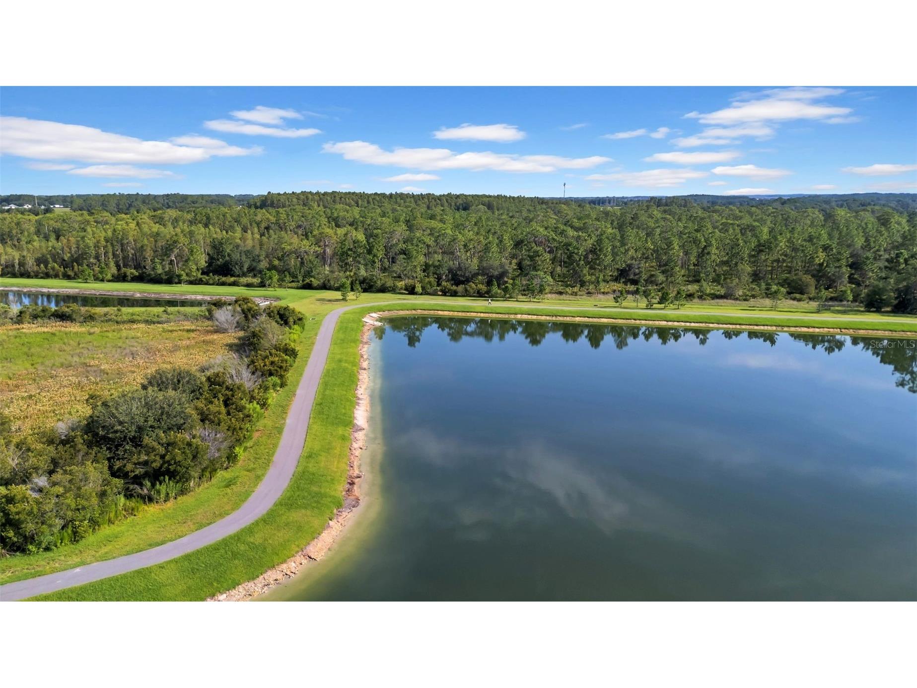 5841 Riverston Avenue Wesley Chapel FL 33545 TB8491665 image21