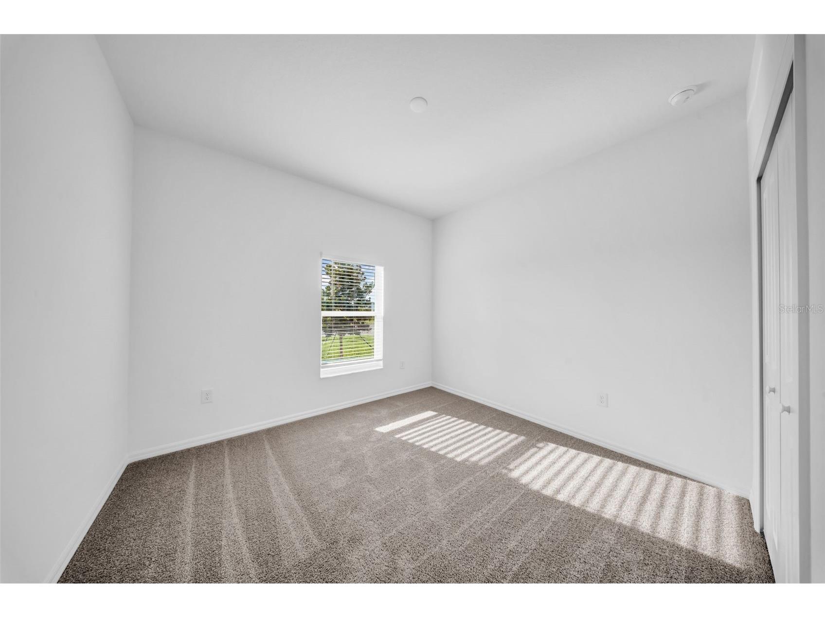 5841 Riverston Avenue Wesley Chapel FL 33545 TB8491665 image32