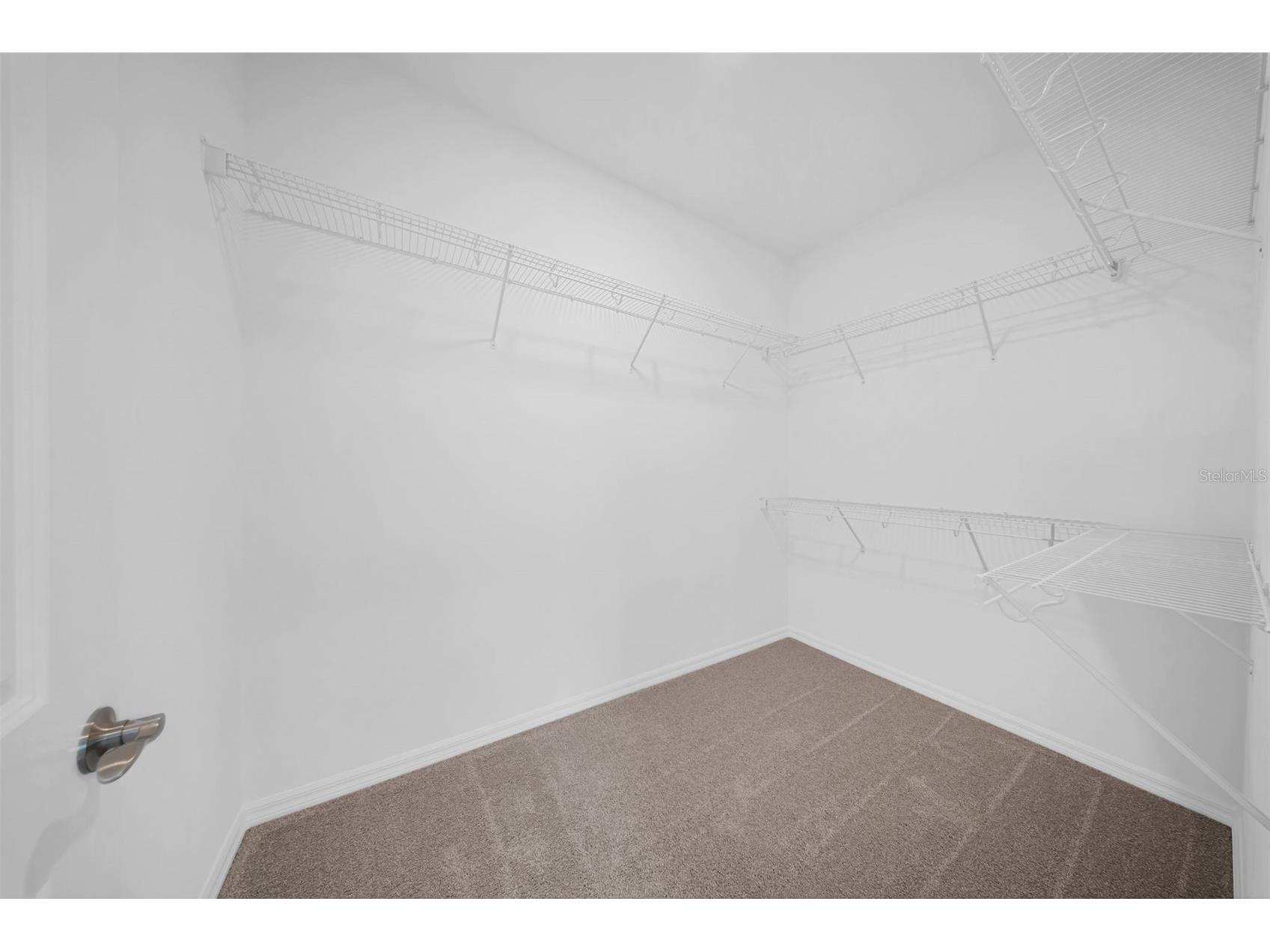 5841 Riverston Avenue Wesley Chapel FL 33545 TB8491665 image61
