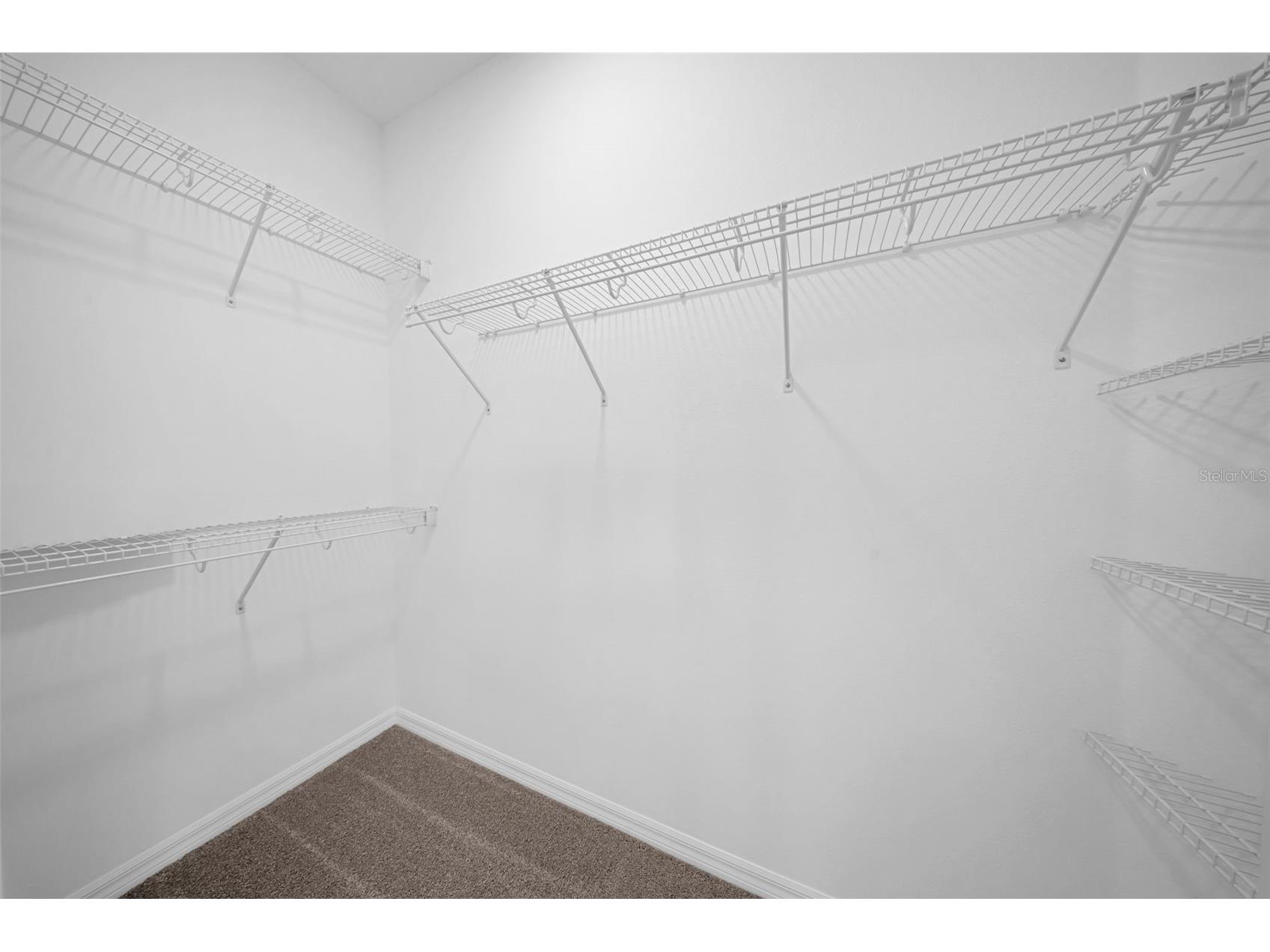 5841 Riverston Avenue Wesley Chapel FL 33545 TB8491665 image67