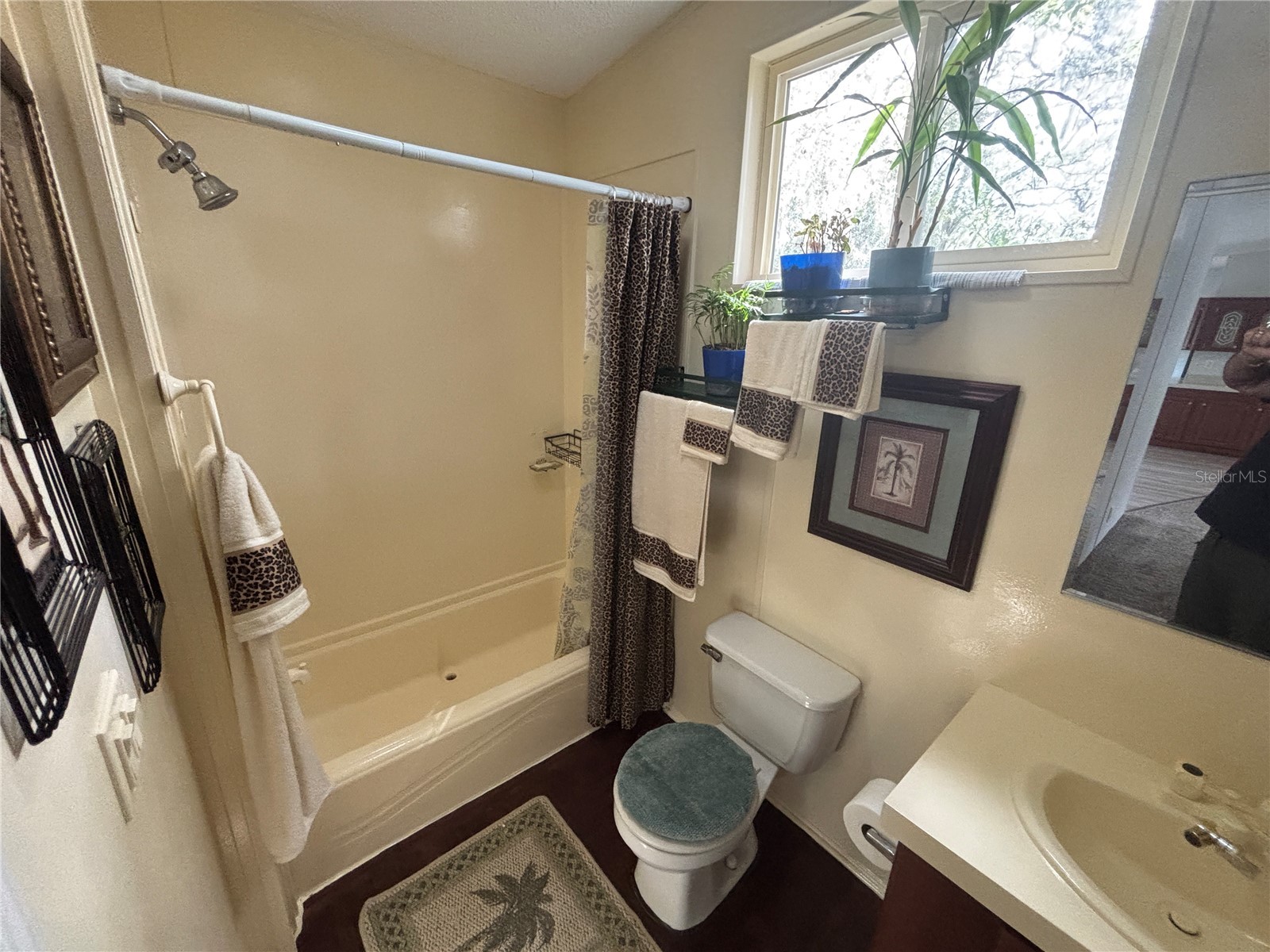 5841 SE 164th Avenue Ocklawaha FL 32179 OM719300 image25