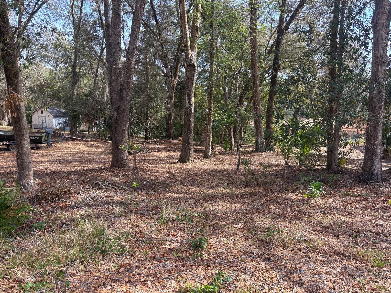 5841 SE 164th Avenue Ocklawaha FL 32179 OM719300 image4