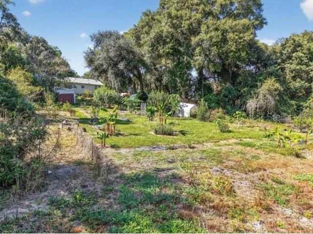 5841 SE 164th Avenue Ocklawaha FL 32179 TB8456265 image21