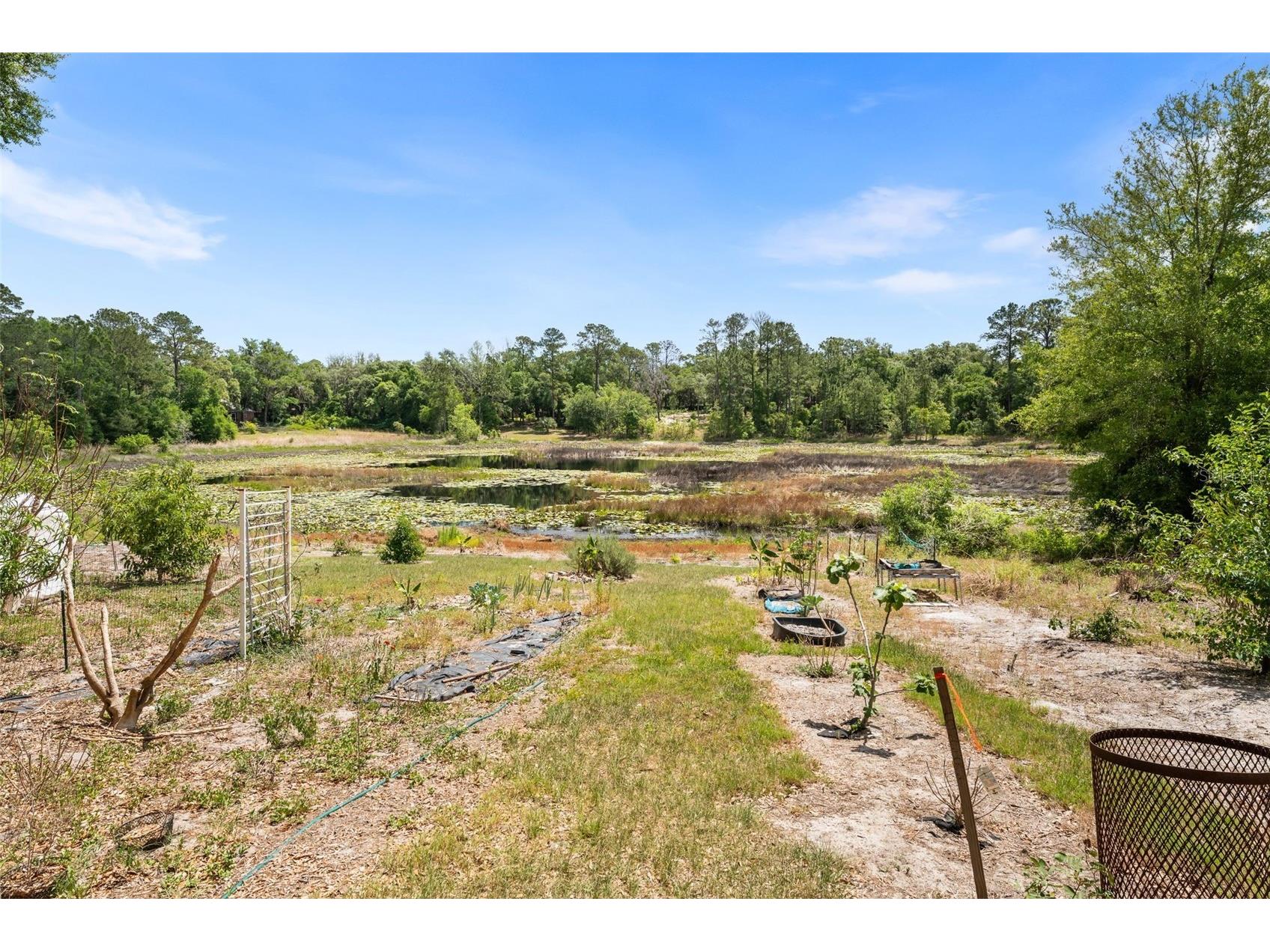 5841 SE 164th Avenue Ocklawaha FL 32179 TB8503069 image25