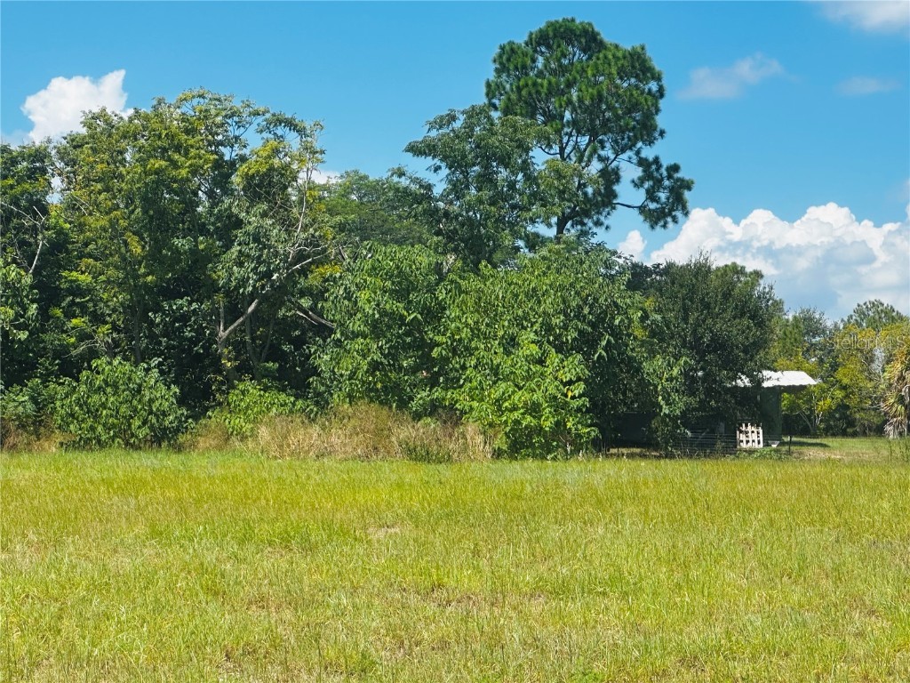 5841 Skokie Road Lake Wales FL 33898 O6338141 image2