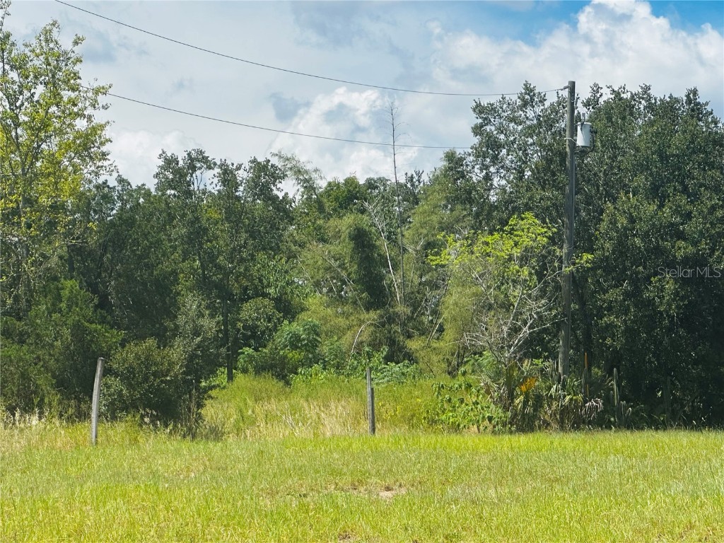 5841 Skokie Road Lake Wales FL 33898 O6338141 image4