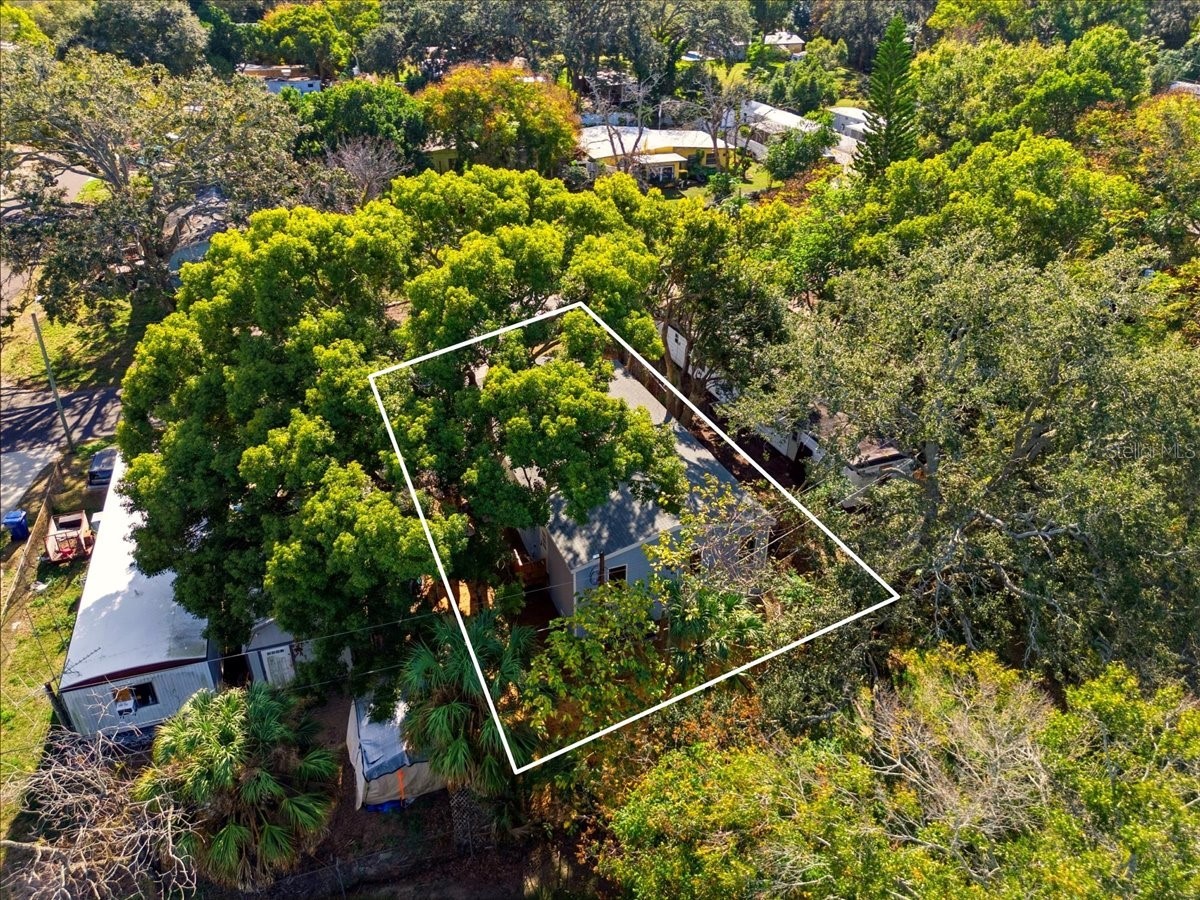 5843 Ashen Avenue New Port Richey FL 34652 P4936515 image9