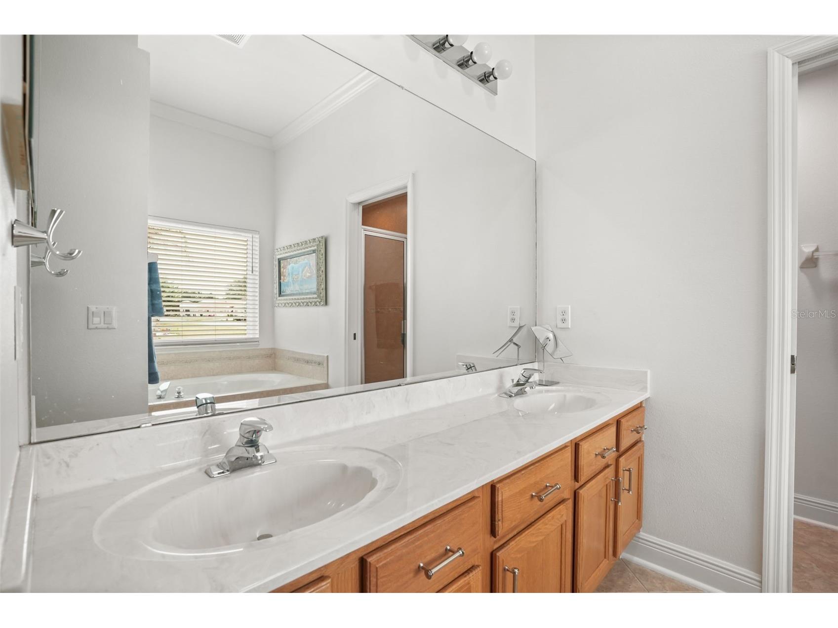 5843 Princess Caroline Place Leesburg FL 34748 O6407253 image16