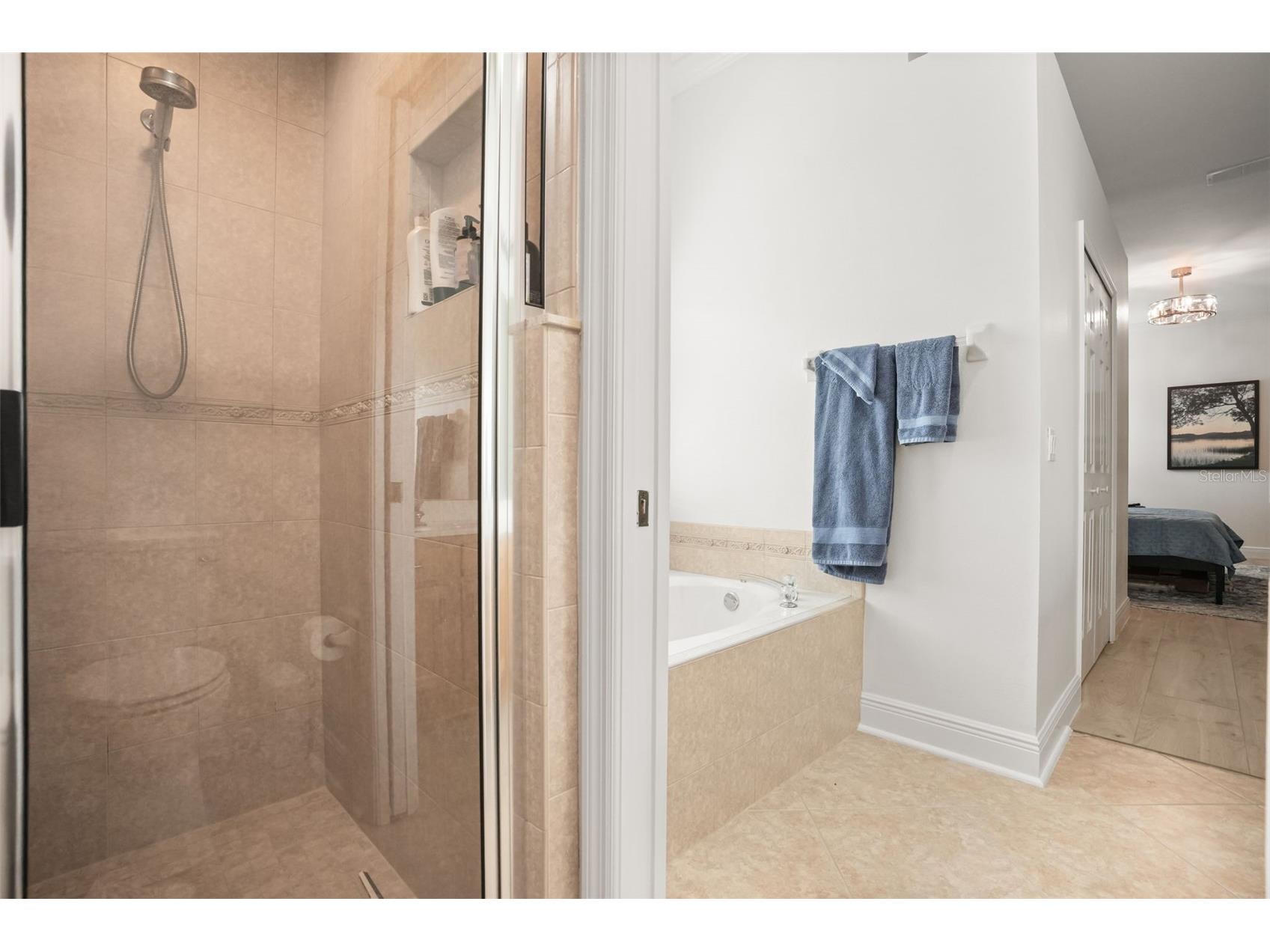 5843 Princess Caroline Place Leesburg FL 34748 O6407253 image17