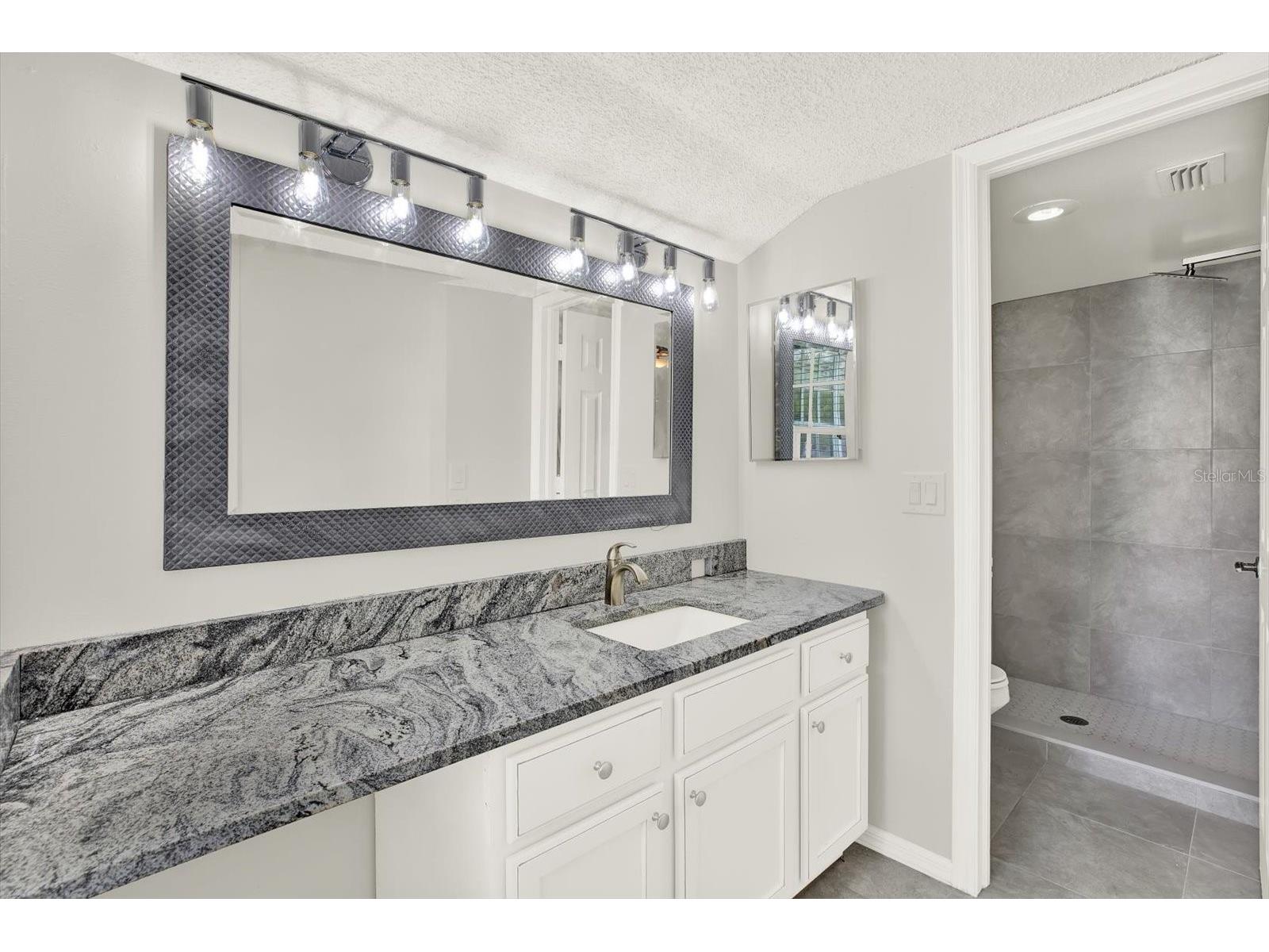 5844 Red Cedar Lane Tampa FL 33625 TB8490869 image12