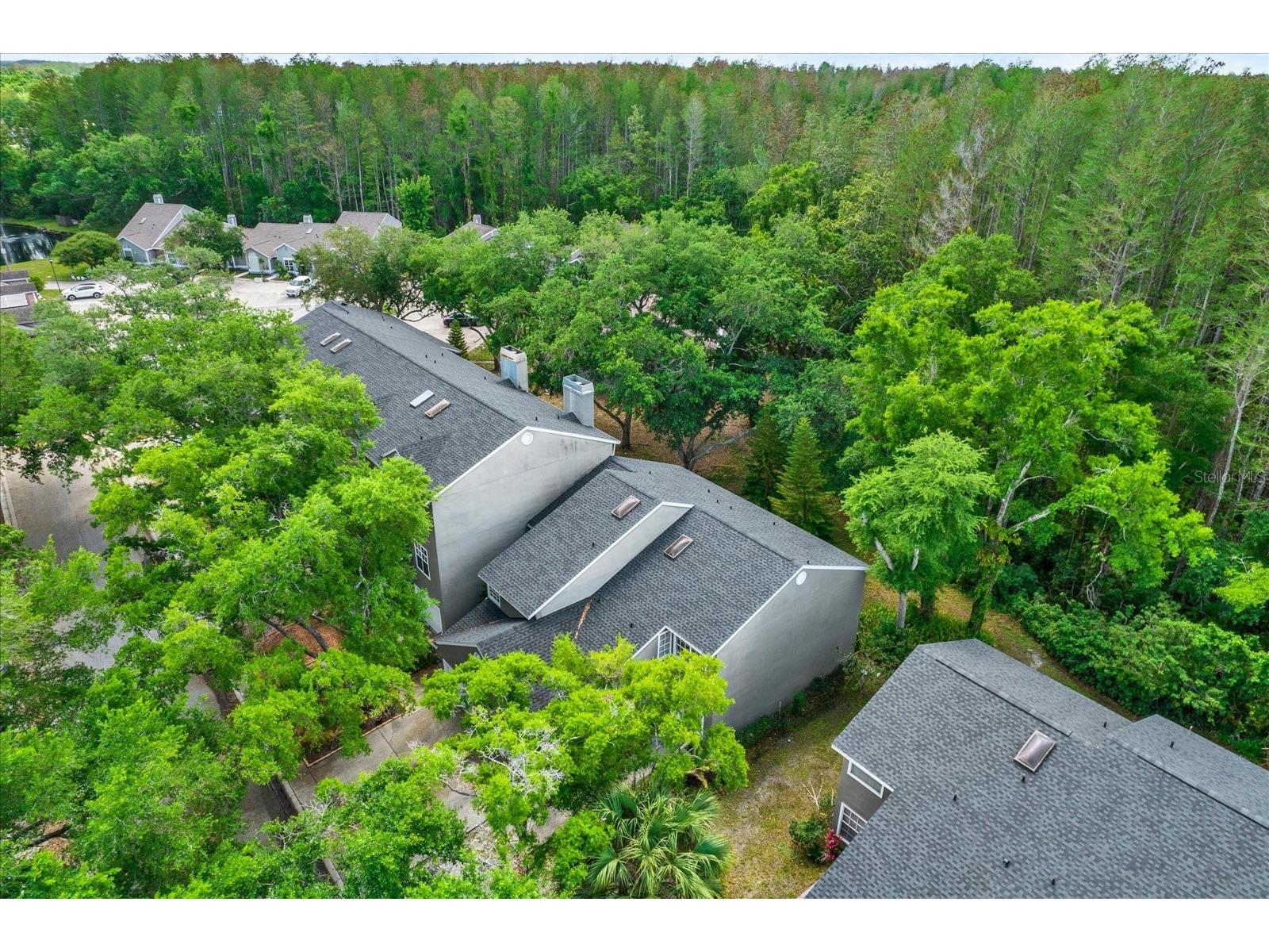 5844 Red Cedar Lane Tampa FL 33625 TB8490869 image21