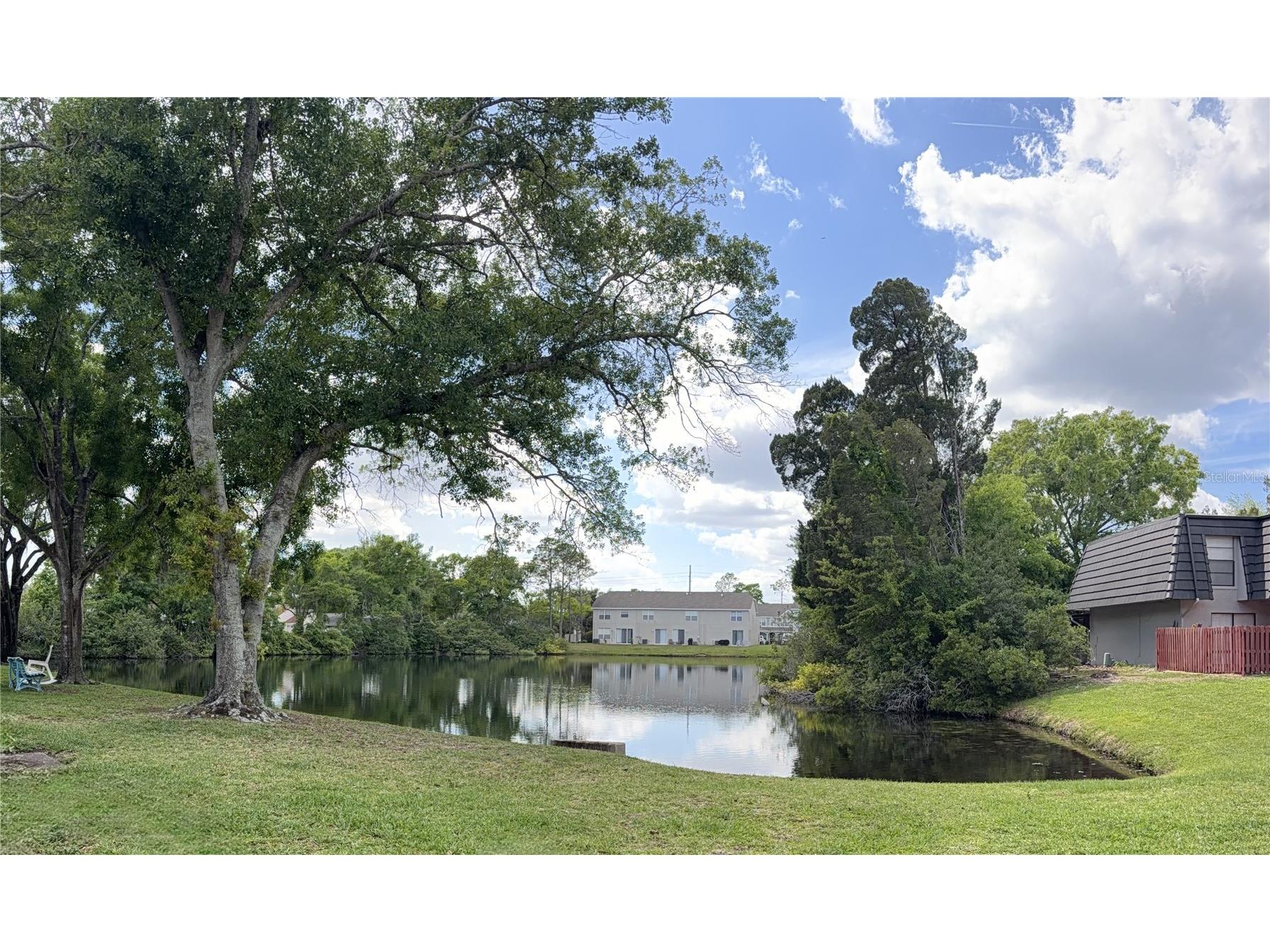 5844 Red Cedar Lane Tampa FL 33625 TB8490869 image25