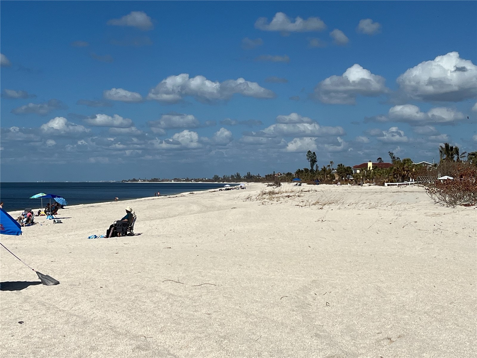5845 Biscotti St Nokomis FL 34275 A4697214 image24