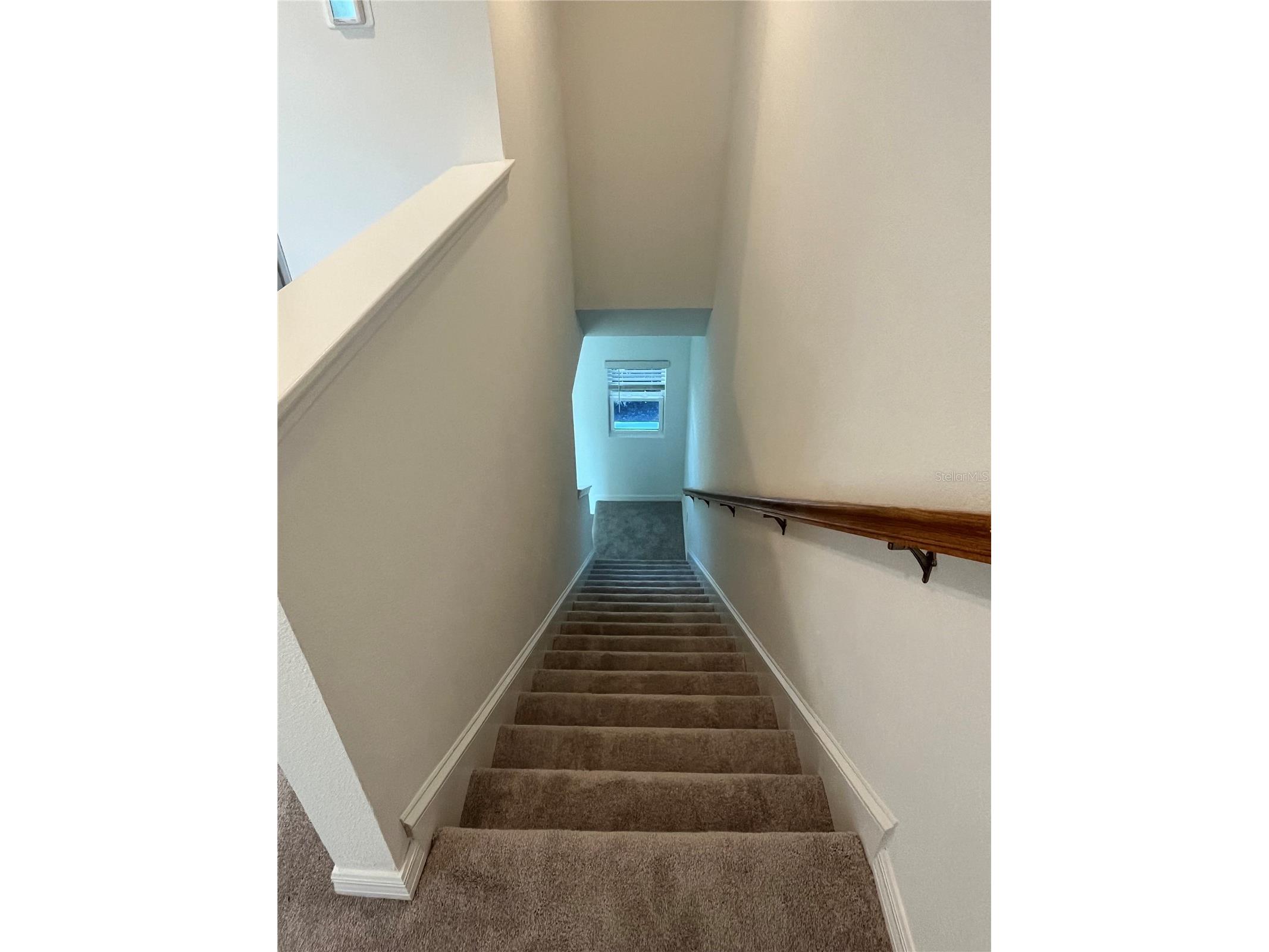 5845 Biscotti St Nokomis FL 34275 A4697214 image8