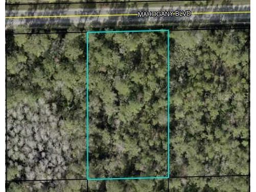 5845 Mahogany Boulevard Bunnell FL 32110 FC305468 image1