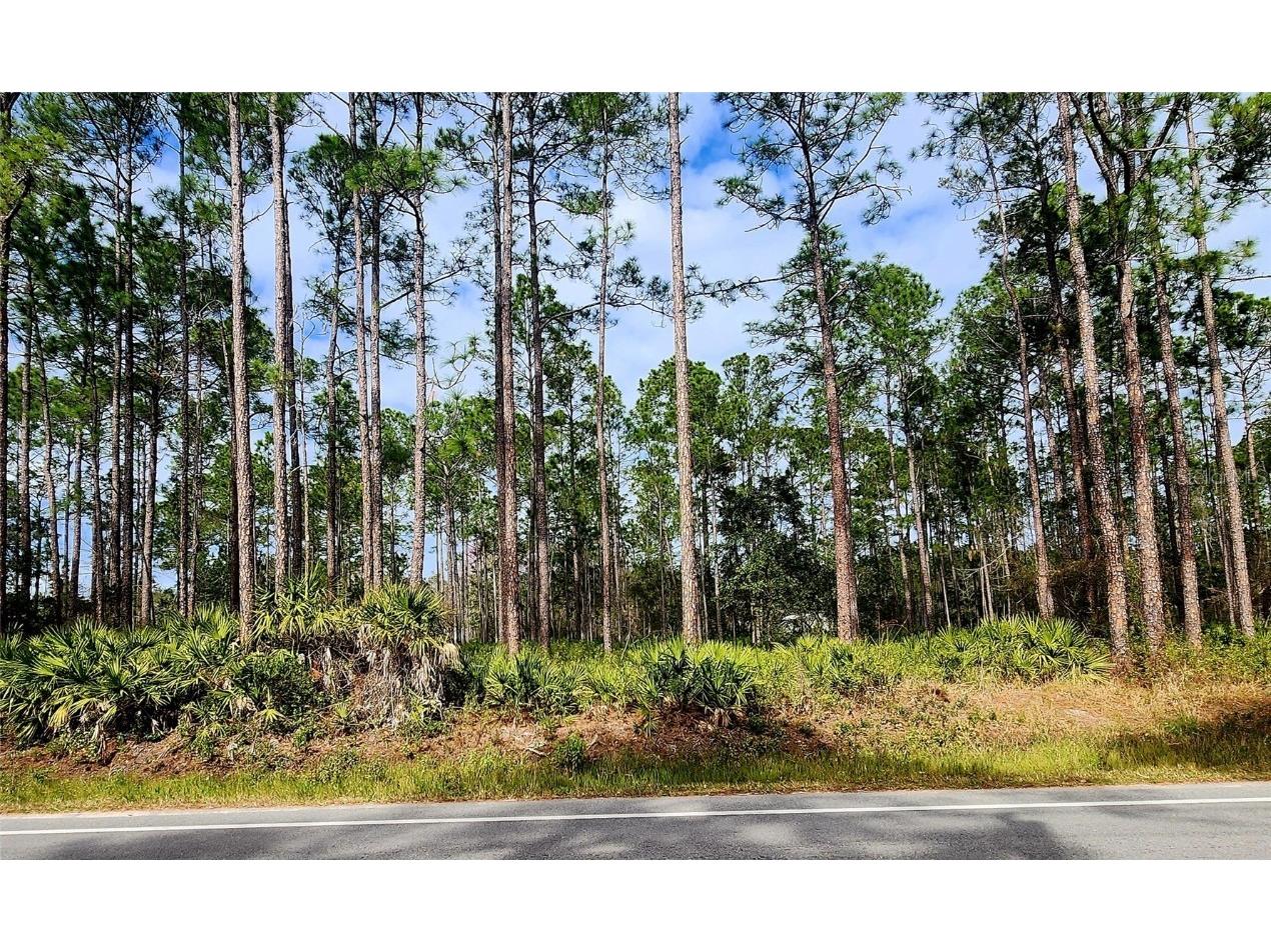 5846 Mahogany Boulevard Bunnell FL 32110 NS1080591 image1