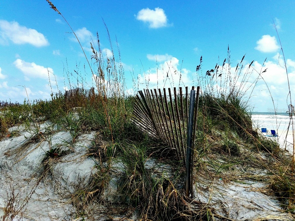 585 Corbin Park Road New Smyrna Beach FL 32168 NS1085079 image63