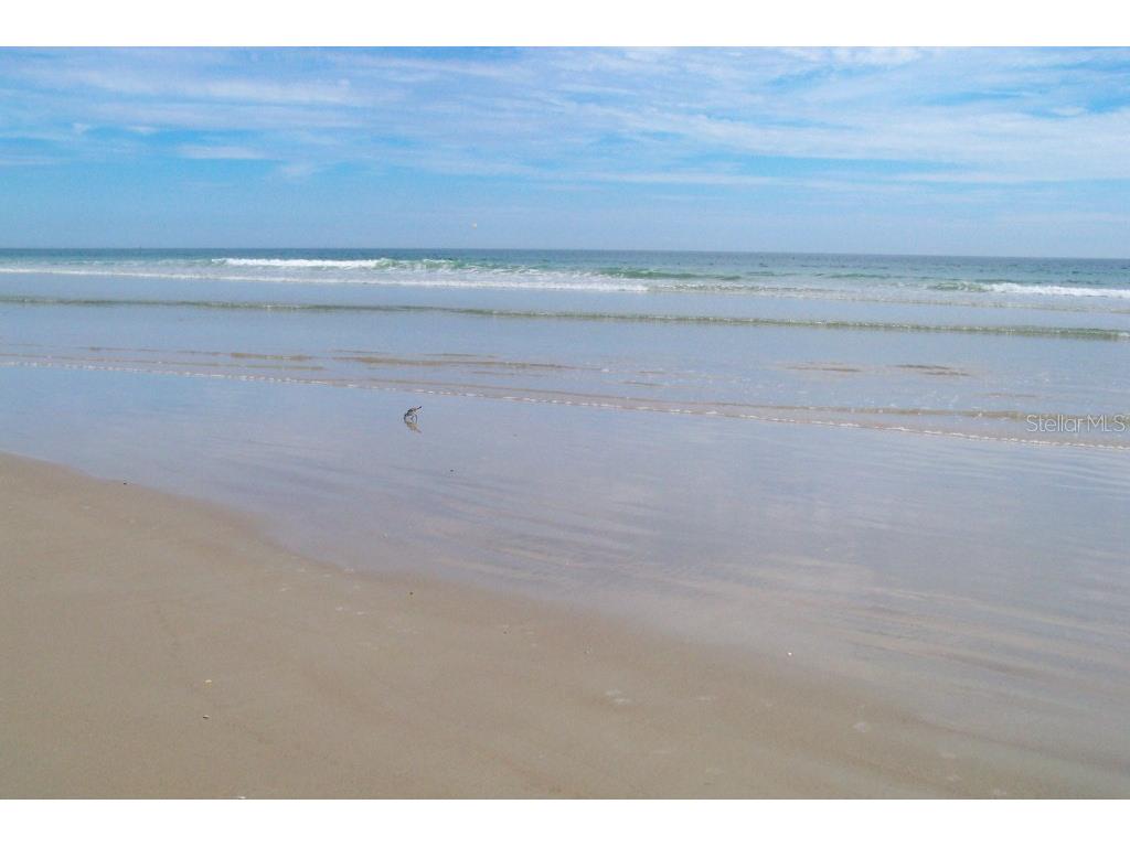 585 Corbin Park Road New Smyrna Beach FL 32168 NS1085079 image65