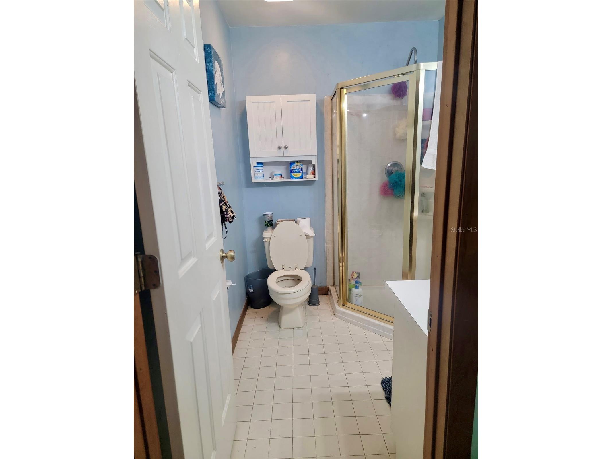 585 E Foresthill Place Hernando FL 34442 TB8482425 image11