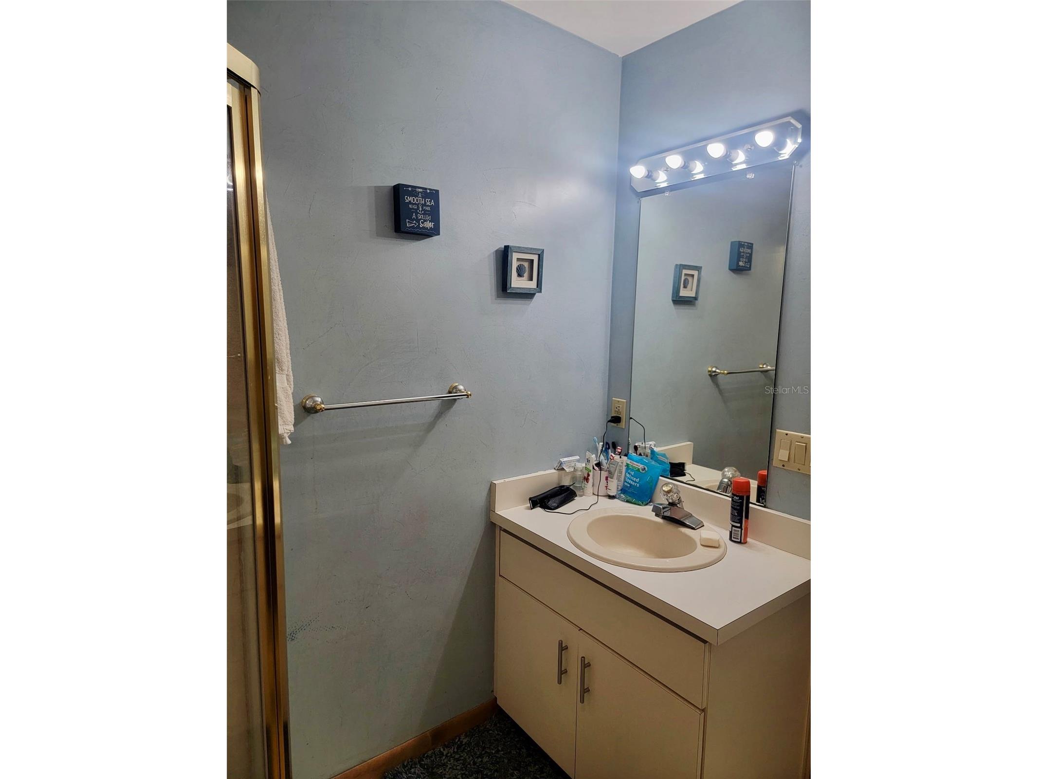 585 E Foresthill Place Hernando FL 34442 TB8482425 image12