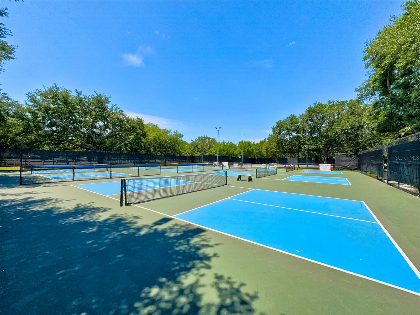 585 Running Woods Street Orange Park FL 32065 GC540029 image16