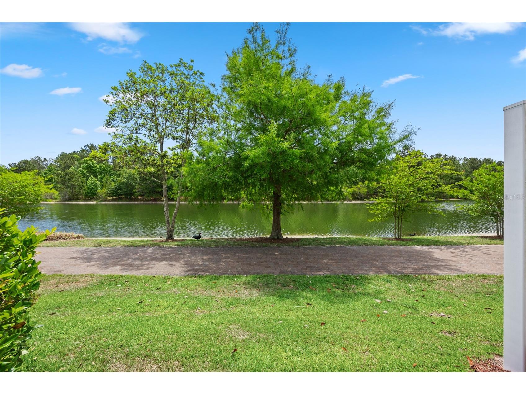 585 Running Woods Street Orange Park FL 32065 GC540029 image6