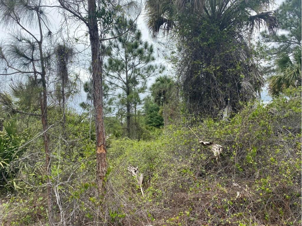 585 S Palomino Street Clewiston FL 33440 OK224274 image1