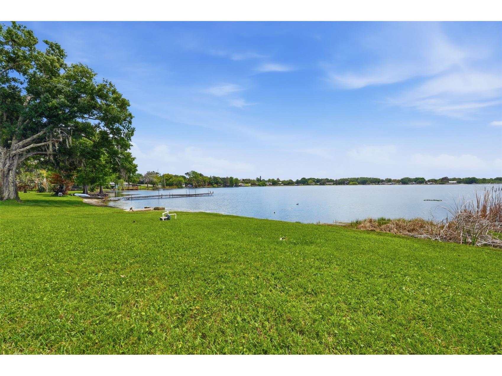 585 Sellars Drive Lake Alfred FL 33850 - LAKE ECHO TB8496183 image39