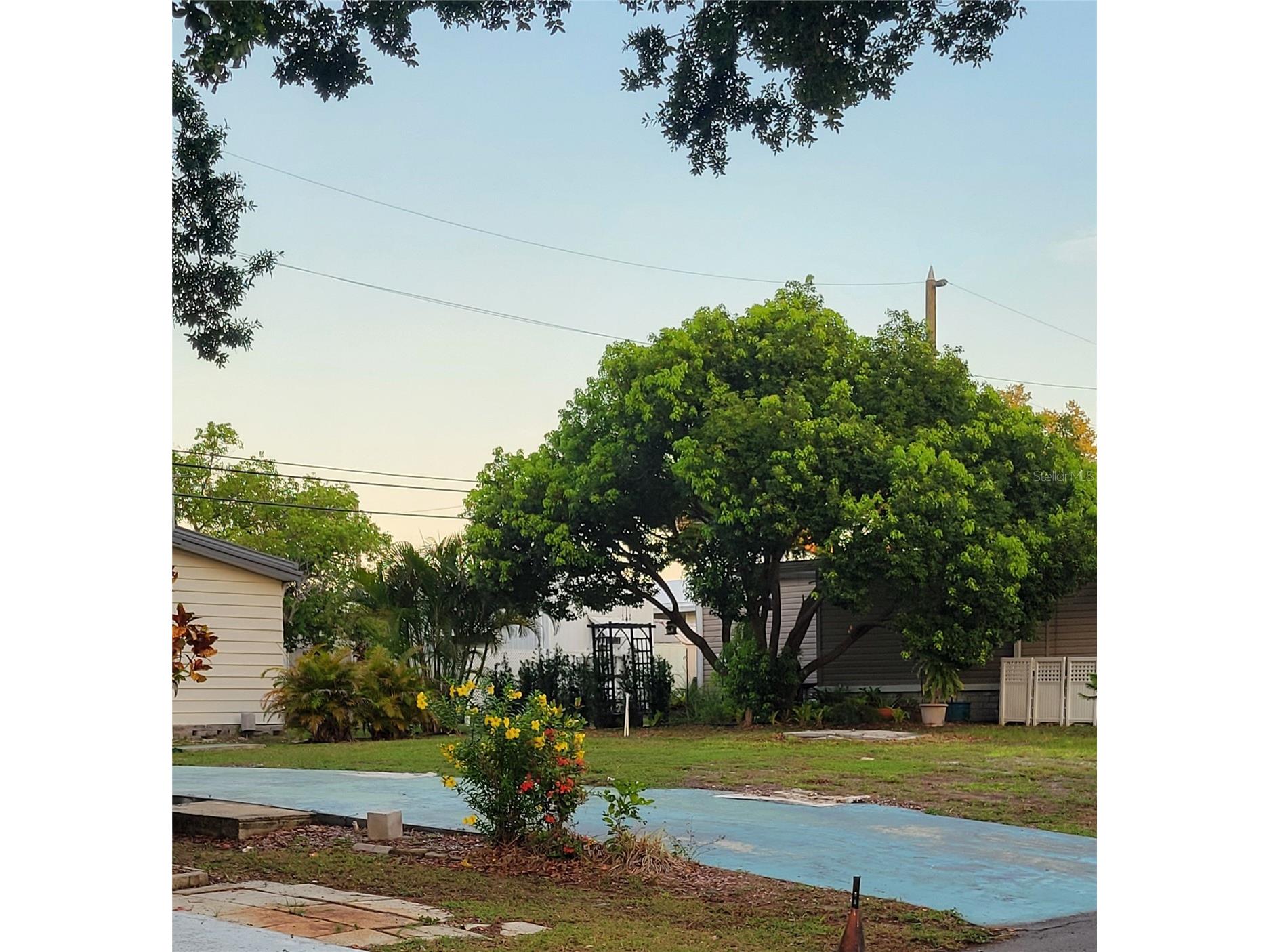 585 Sky Harbor Drive #126 Clearwater FL 33759 TB8526256 image1