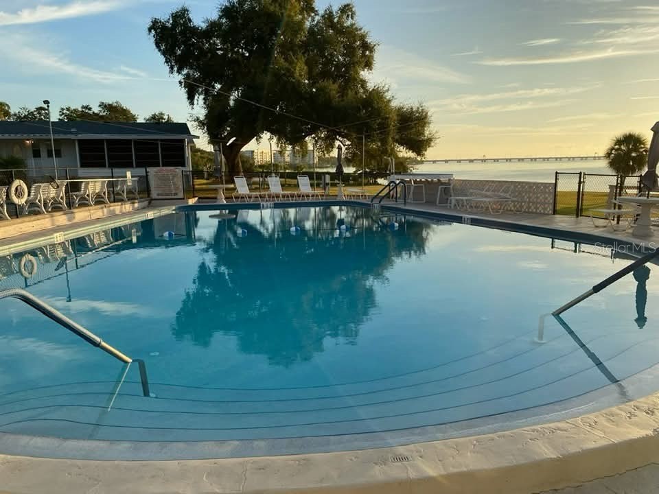 585 Sky Harbor Drive #126 Clearwater FL 33759 TB8526256 image7