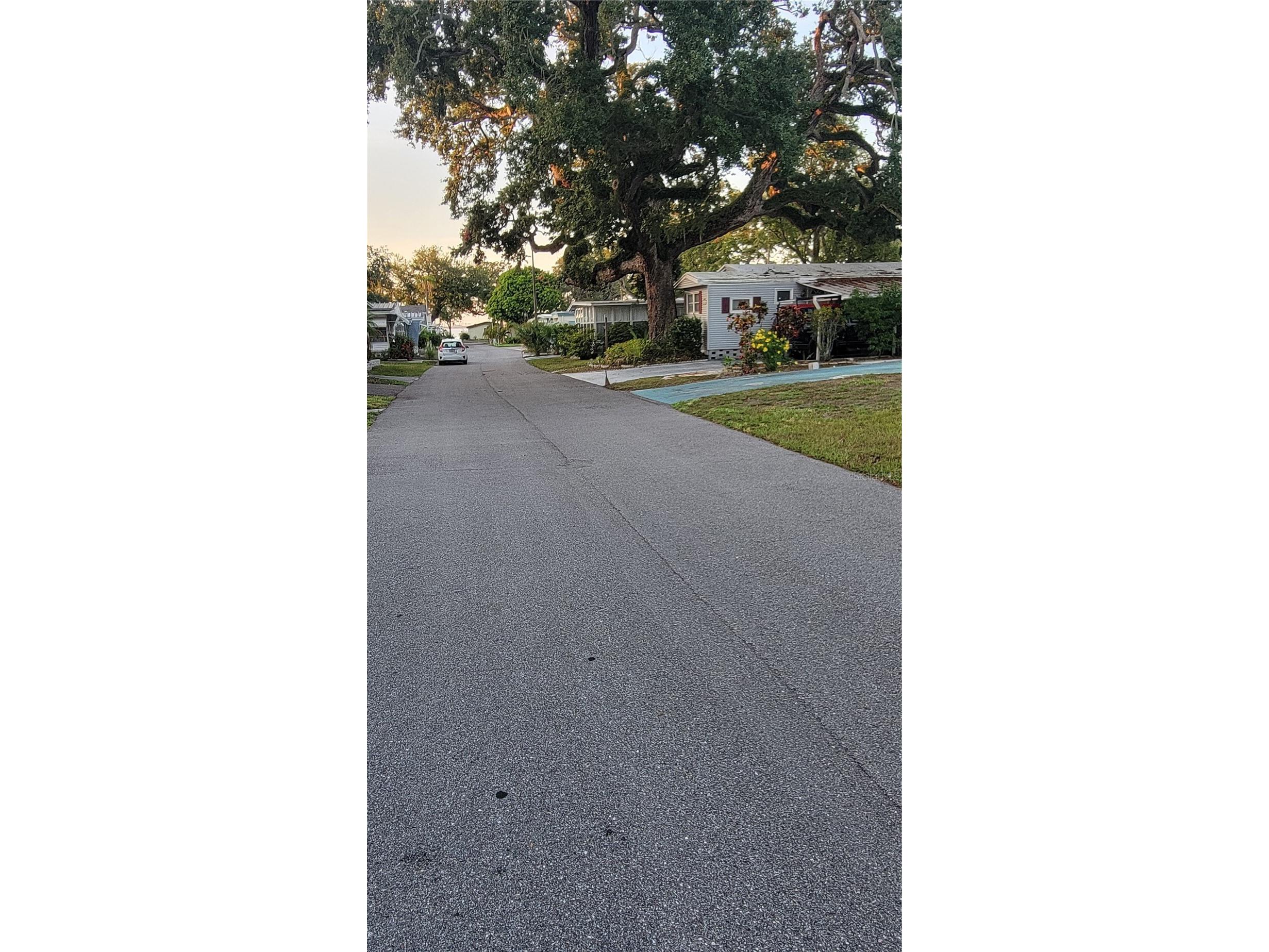 585 Sky Harbor Drive #126 Clearwater FL 33759 TB8526256 image8