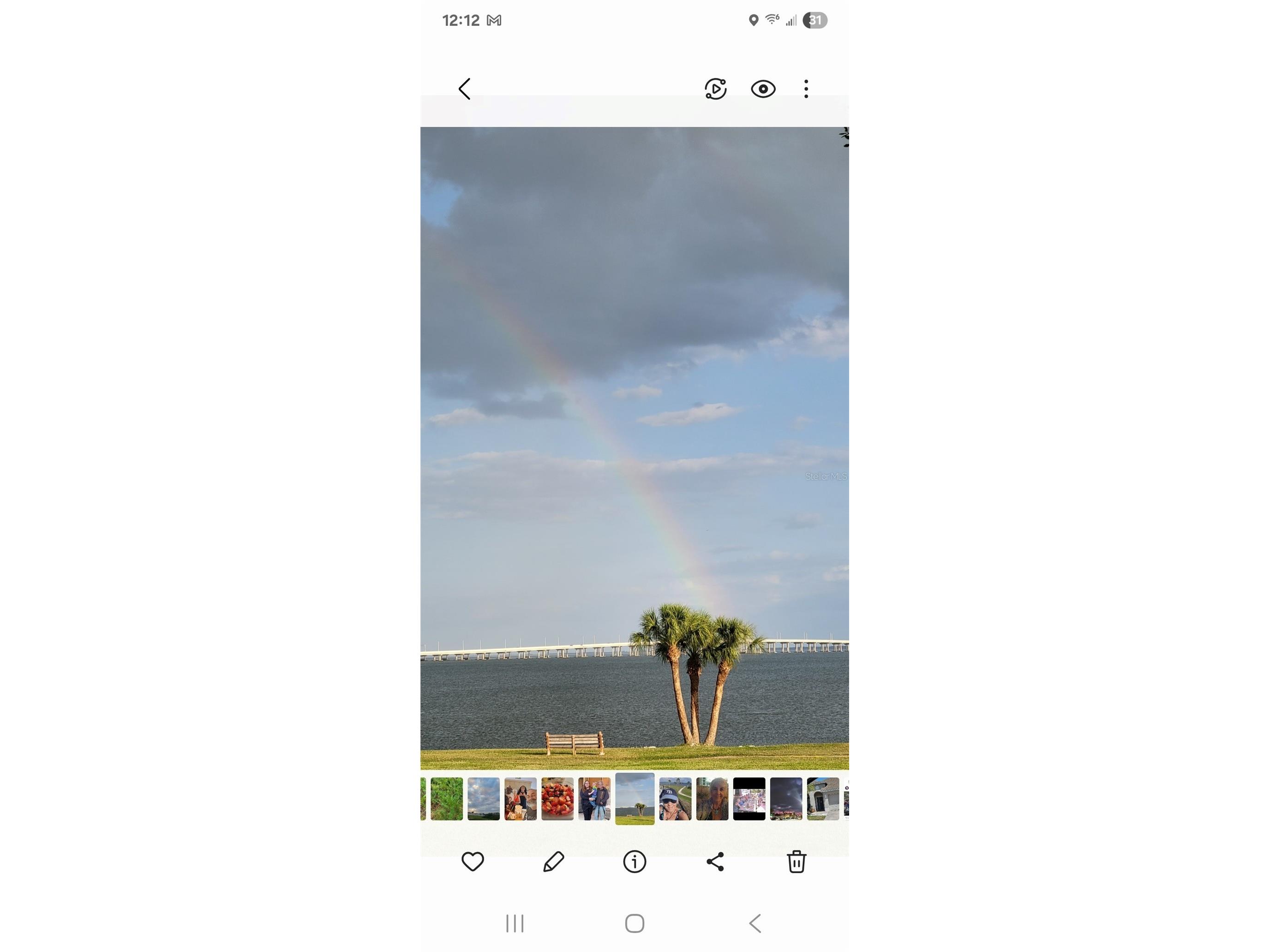 585 Sky Harbor Drive #126 Clearwater FL 33759 TB8526256 image9