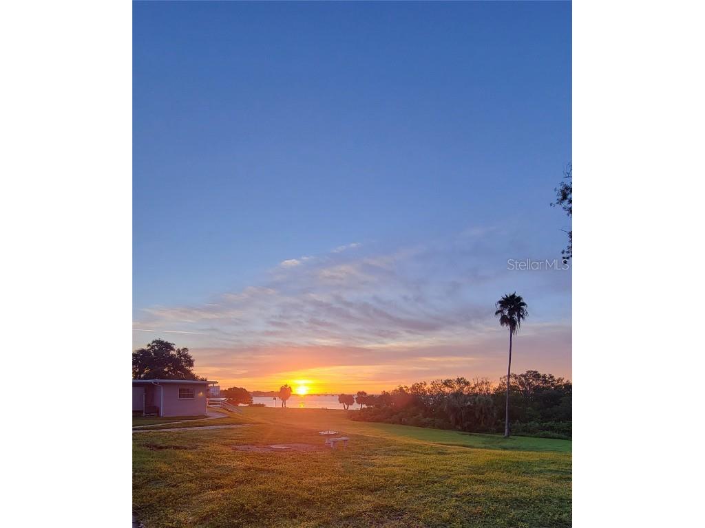 585 Sky Harbor Drive #230 Clearwater FL 33759 TB8424842 image3