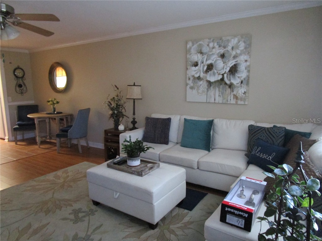 5850 18th Street N #8 Saint Petersburg FL 33714 TB8443357 image2