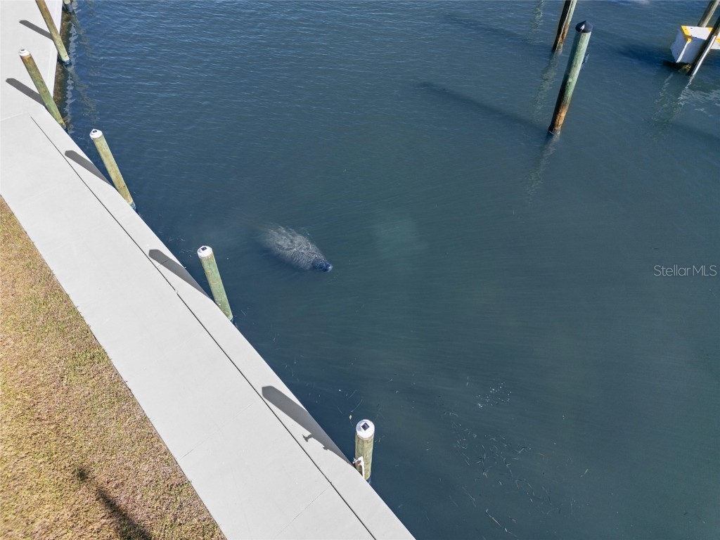 5850 Gasparilla Road #M5 Boca Grande FL 33921 TB8452324 image32