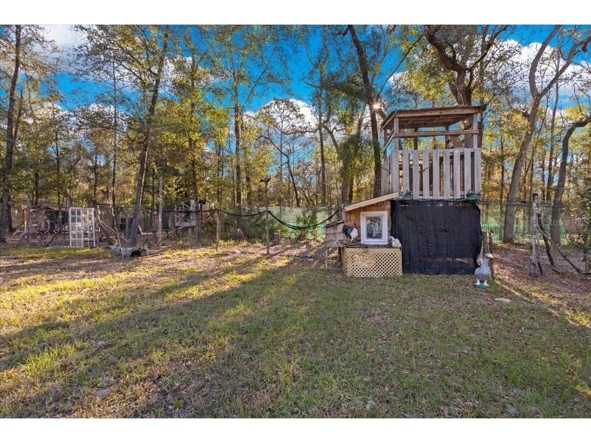 5850 NW 50th Street Bell FL 32619 W7884110 image39