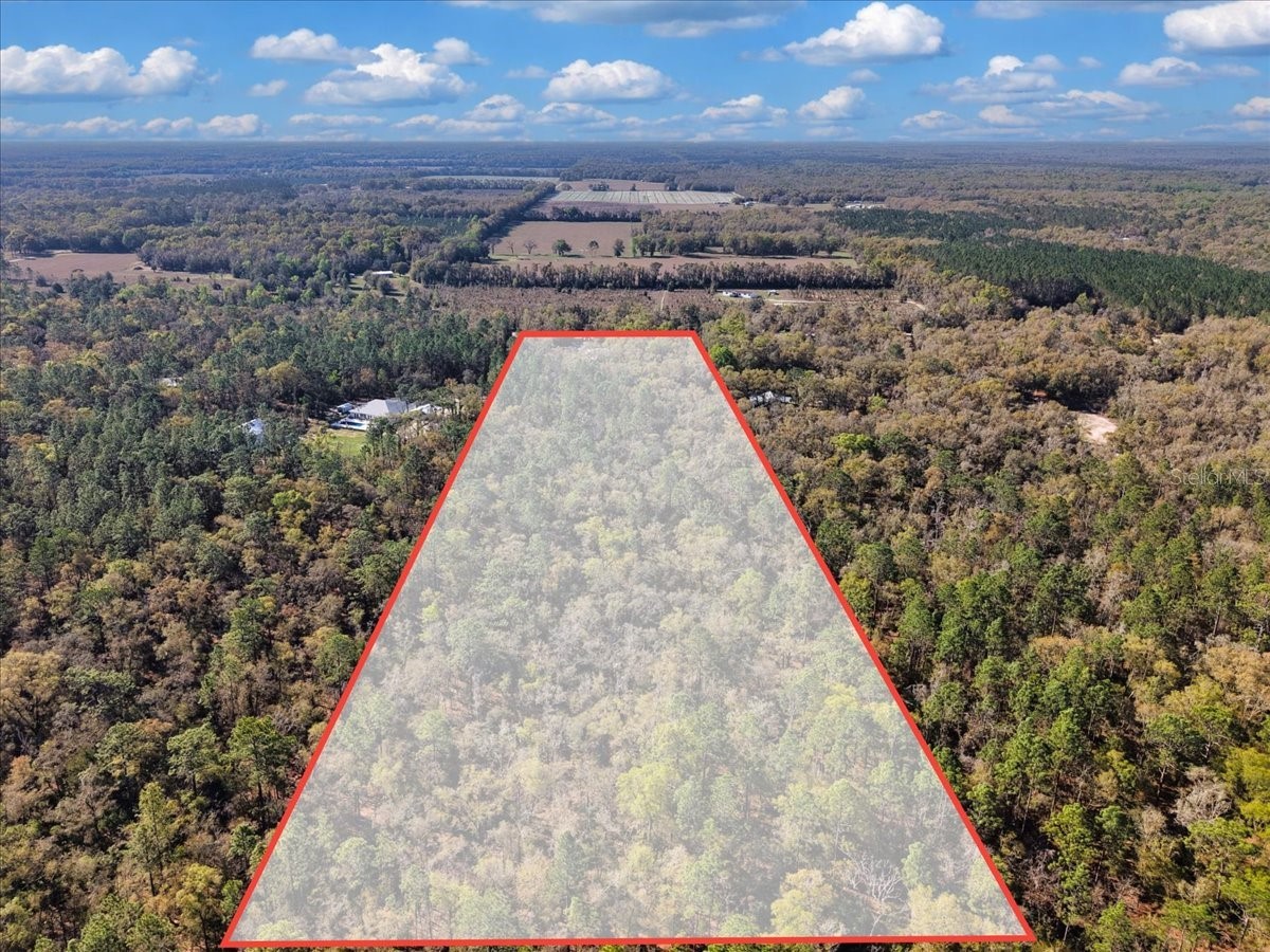 5850 NW 50th Street Bell FL 32619 W7884110 image40