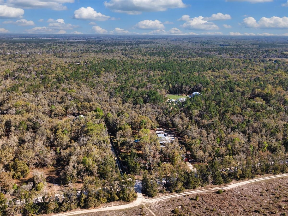 5850 NW 50th Street Bell FL 32619 W7884110 image42