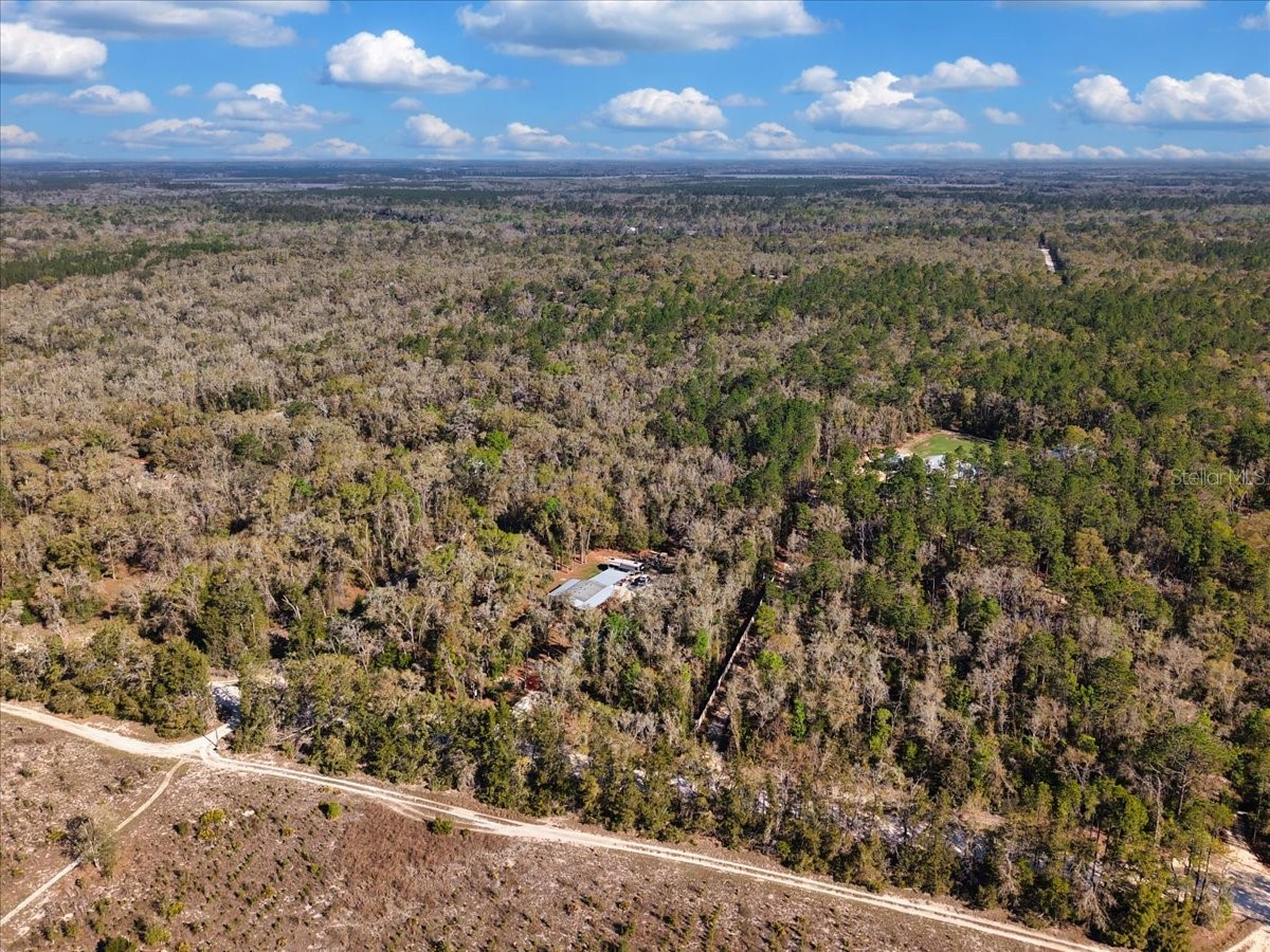 5850 NW 50th Street Bell FL 32619 W7884110 image43