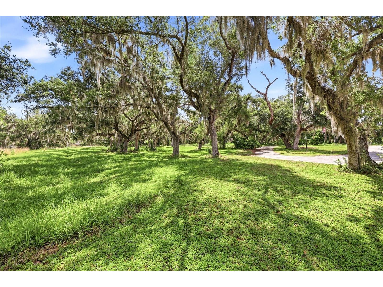 5850 Vanderipe Road Sarasota FL 34241 A4695077 image54