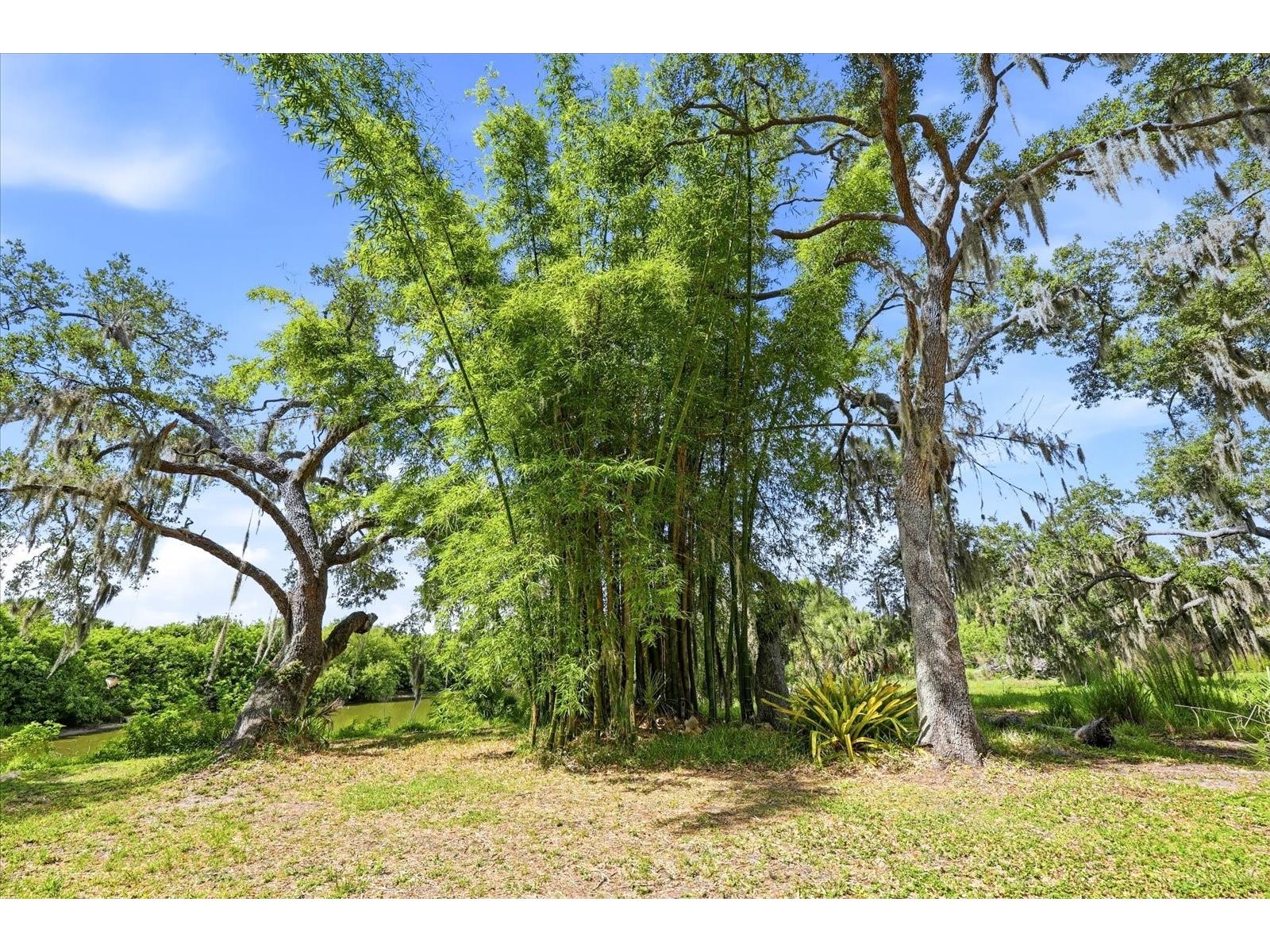 5850 Vanderipe Road Sarasota FL 34241 A4695077 image58