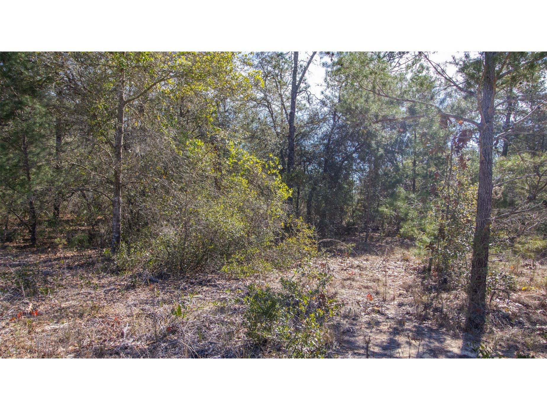 5851 Hillridge Road Keystone Heights FL 32656 GC537198 image10