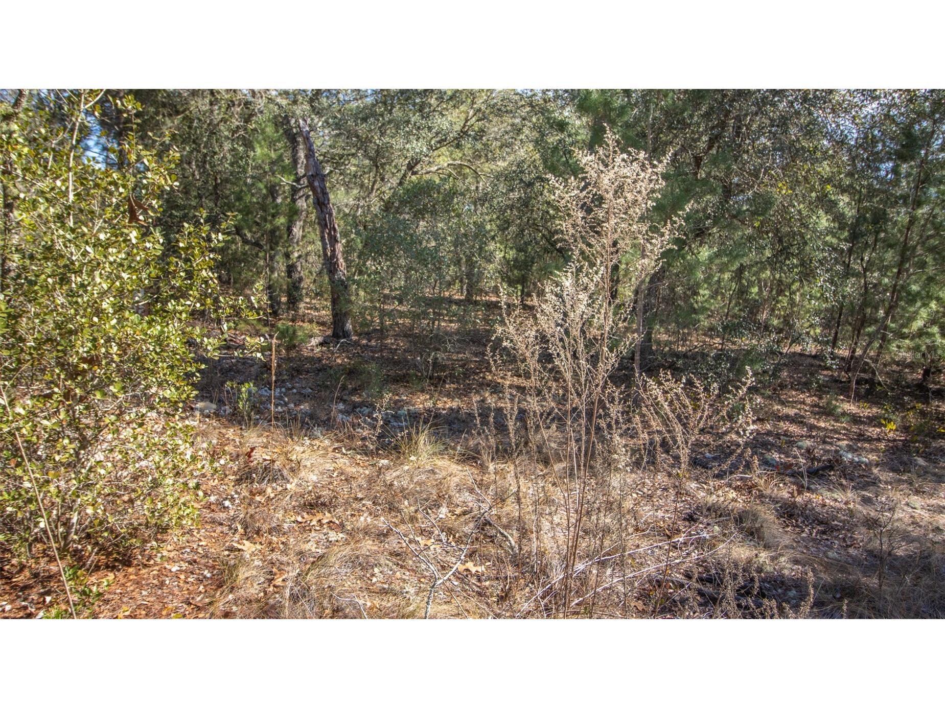 5851 Hillridge Road Keystone Heights FL 32656 GC537198 image11