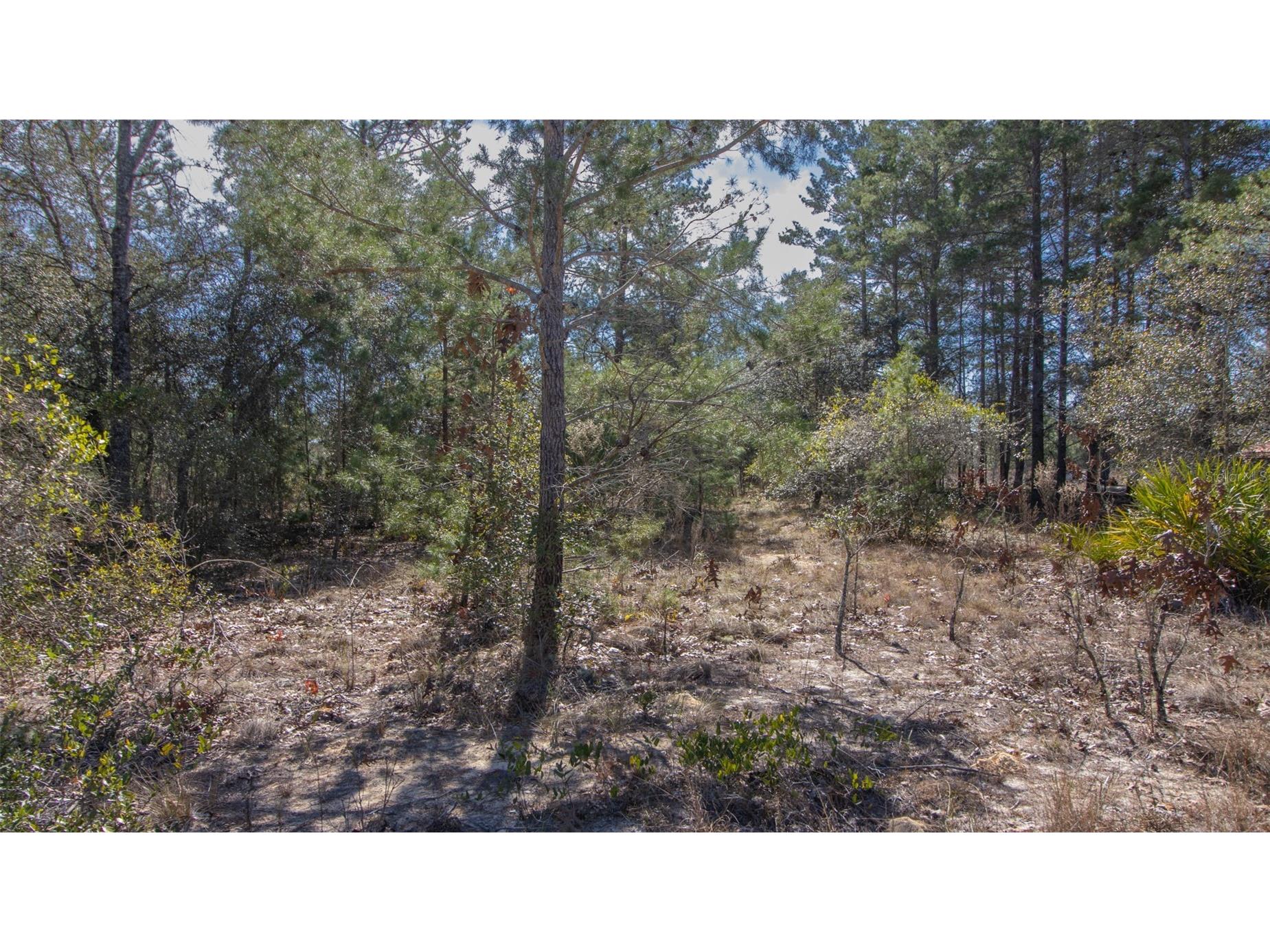 5851 Hillridge Road Keystone Heights FL 32656 GC537198 image9