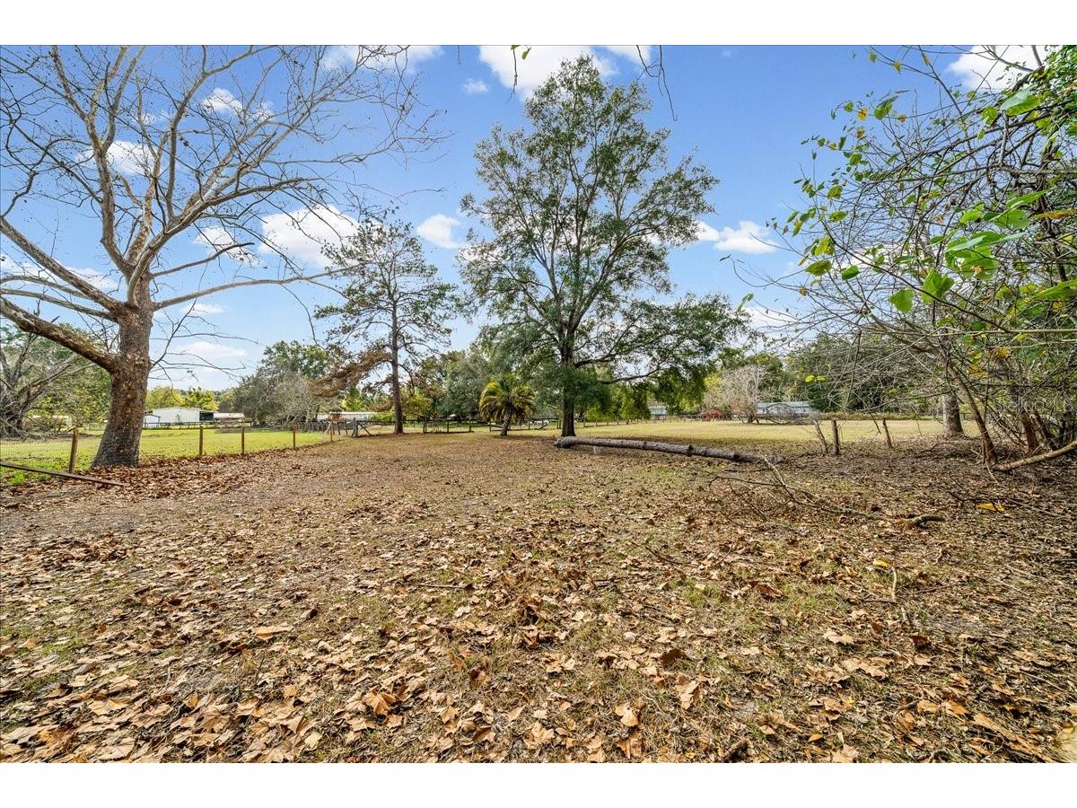 5851 NW 50th Avenue Ocala FL 34482 O6369353 image37