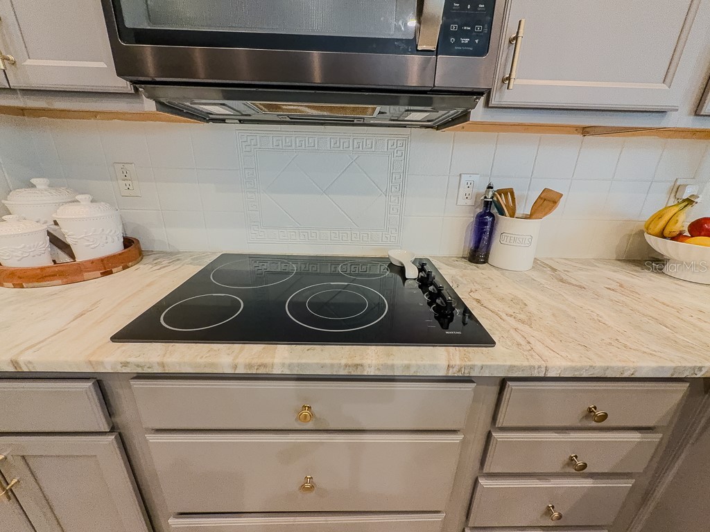 5852 Cachette De Riviera Court New Port Richey FL 34655 - ANCLOTE RIVER TB8516694 image24