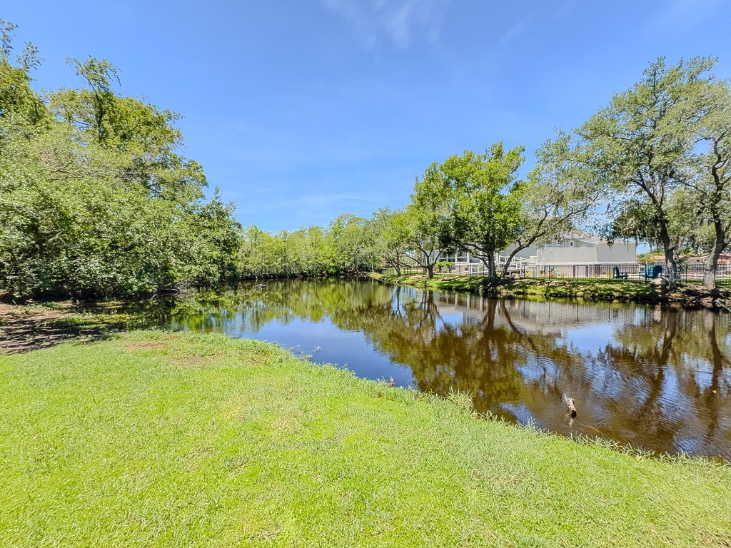 5852 Cachette De Riviera Court New Port Richey FL 34655 - ANCLOTE RIVER TB8516694 image70