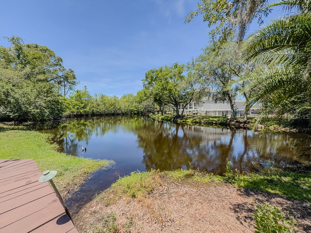 5852 Cachette De Riviera Court New Port Richey FL 34655 - ANCLOTE RIVER TB8516694 image71