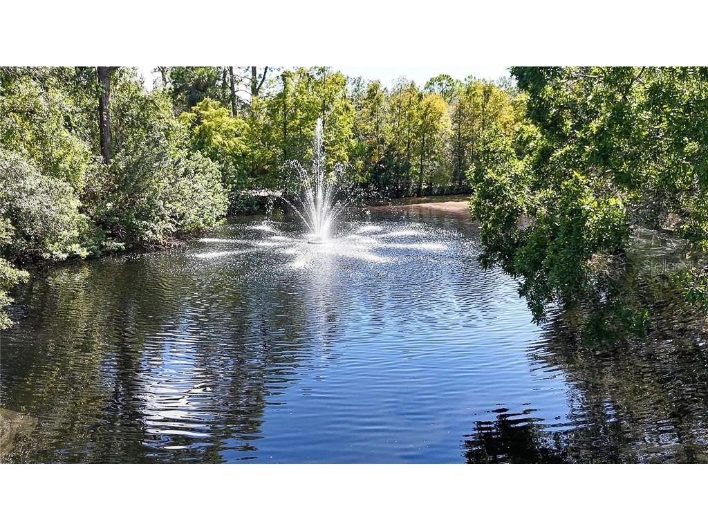 5852 Cachette De Riviera Court New Port Richey FL 34655 - ANCLOTE RIVER TB8516694 image72